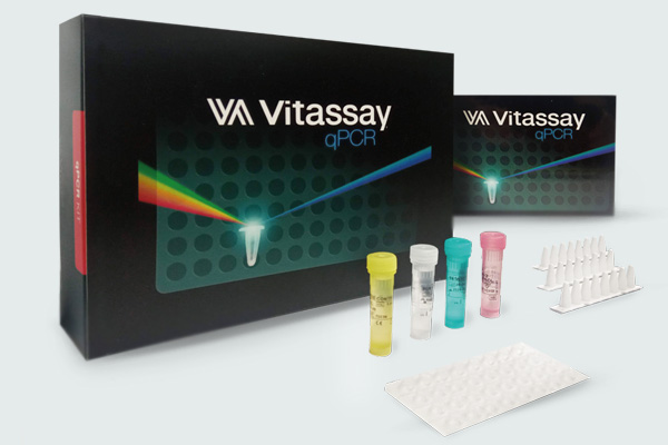 Vitassay qPCR E. coli pathotypes