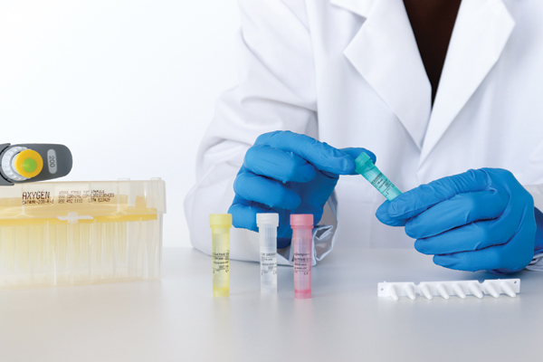 Vitassay qPCR E. coli pathotypes - Imagen 4